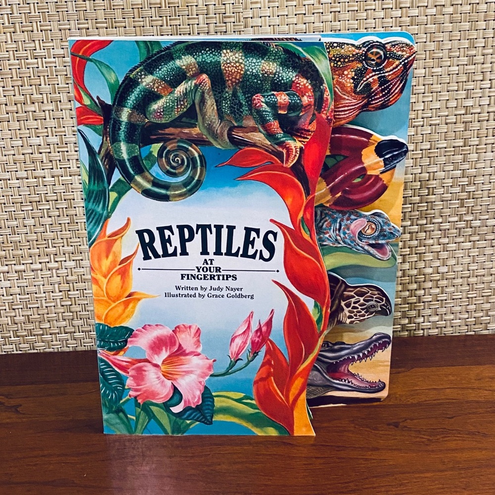 🌟HP🌟VTG Reptiles At Your Fingertips Board Book
